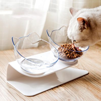 ANTI-VOMITING ORTHOPEDIC CAT BOWL (Double)