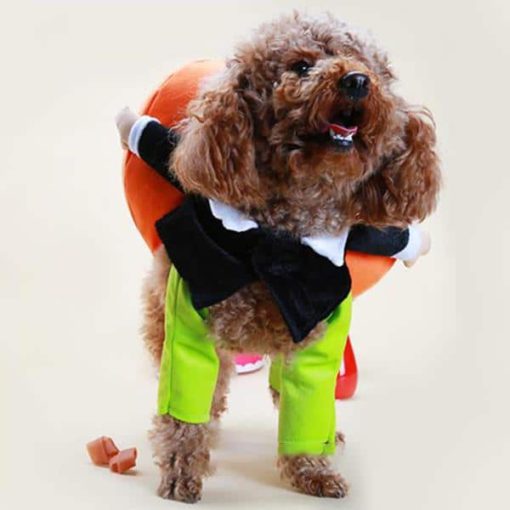 Poochy Pumpkin Halloween Outfit - Image 2