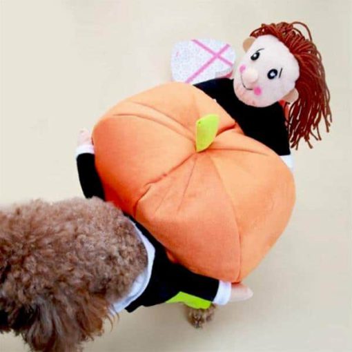 Poochy Pumpkin Halloween Outfit - Image 3