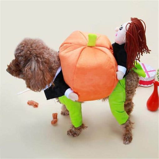 Poochy Pumpkin Halloween Outfit - Image 4