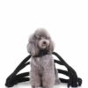 Halloween Spider Costume For Dogs,Halloween Spider Costume,Spider Costume For Dogs,Costume For Dogs,Spider Costume