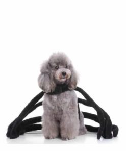 Halloween Spider Costume For Dogs,Halloween Spider Costume,Spider Costume For Dogs,Costume For Dogs,Spider Costume