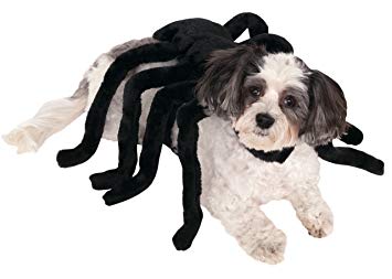 Halloween Spider Costume For Dogs,Halloween Spider Costume,Spider Costume For Dogs,Costume For Dogs,Spider Costume