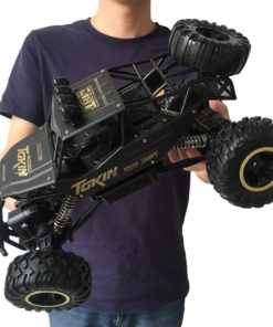 Monster Truck,Truck,4WD Monster Truck,Scale 4WD,Monster