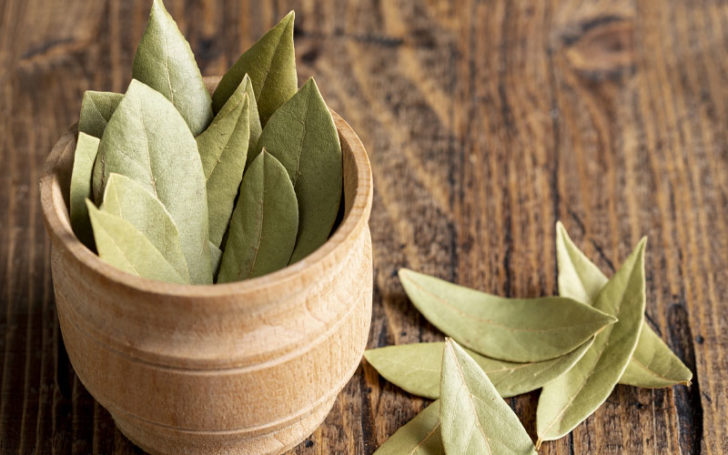 Rosemary Substitutes