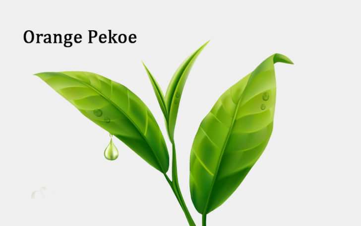 Orange Pekoe