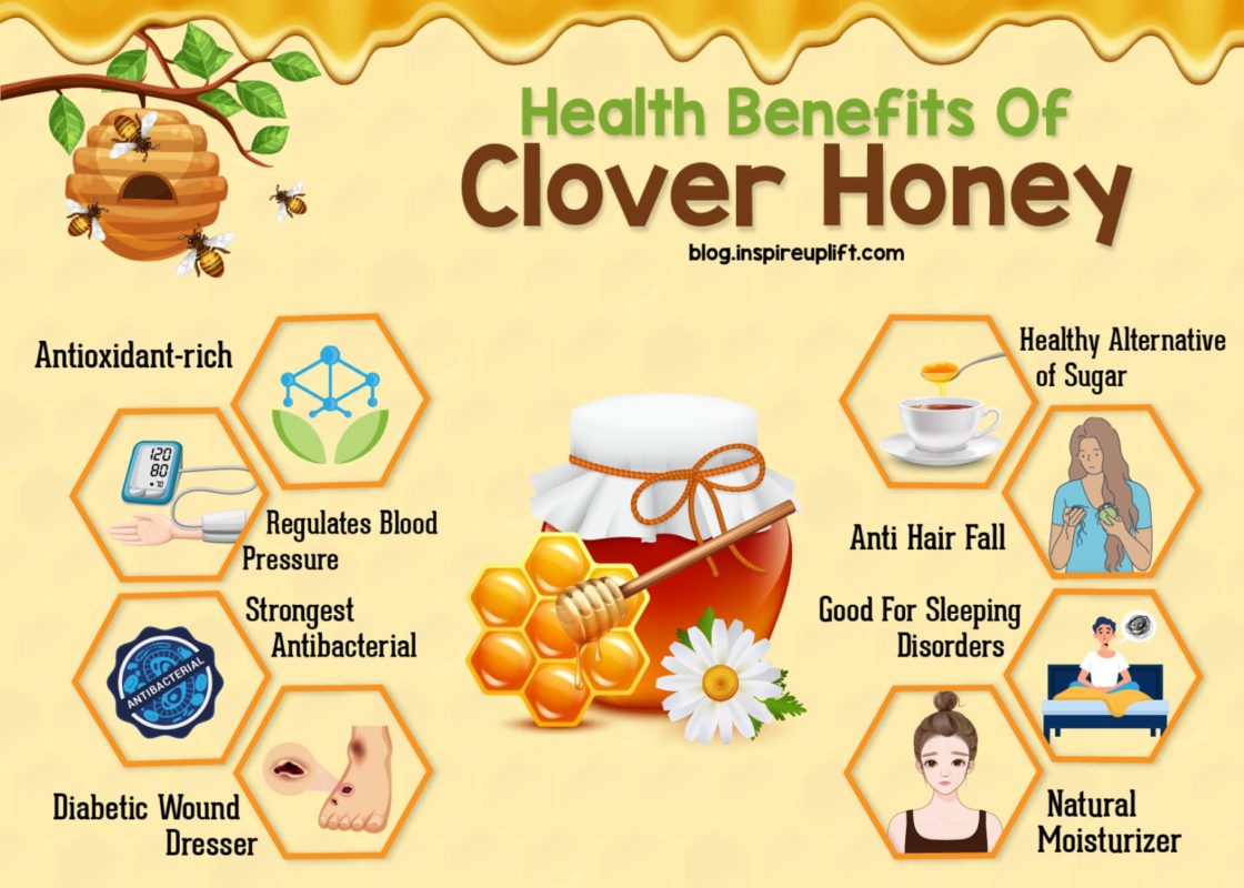 Clover honey