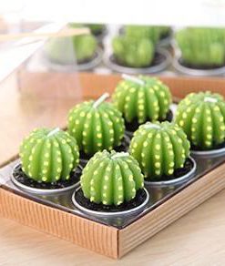 Cactus Candles,Mini Cactus Candles,Mini Cactus