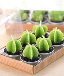 Cactus Candles,Mini Cactus Candles,Mini Cactus