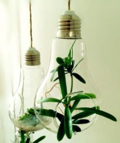 Modern Light Bulb,Bulb Planter,Light Bulb Planter,Light Bulb,Modern Light