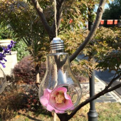 Modern Light Bulb,Bulb Planter,Light Bulb Planter,Light Bulb,Modern Light