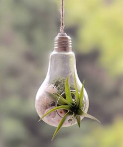 Modern Light Bulb,Bulb Planter,Light Bulb Planter,Light Bulb,Modern Light