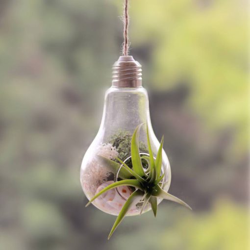 Modern Light Bulb,Bulb Planter,Light Bulb Planter,Light Bulb,Modern Light