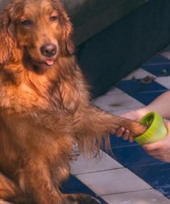 Pet Paw Cleaner,Pet Paw,Paw Cleaner