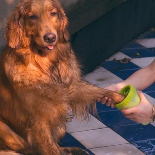 Pet Paw Cleaner,Pet Paw,Paw Cleaner