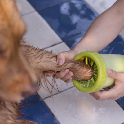 Pet Paw Cleaner,Pet Paw,Paw Cleaner