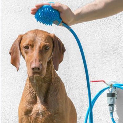 Pet Shower Hose,Shower Hose,Pet Shower