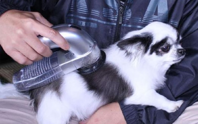 Cool Dog Gadgets,dog gadgets,cool dog