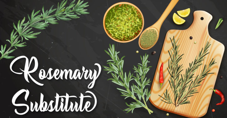 Rosemary Substitutes