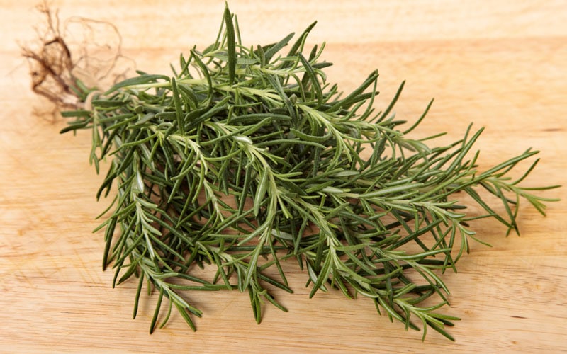 Tarragon Substitute,Fresh Tarragon,Dried Tarragon,Russian Tarragon