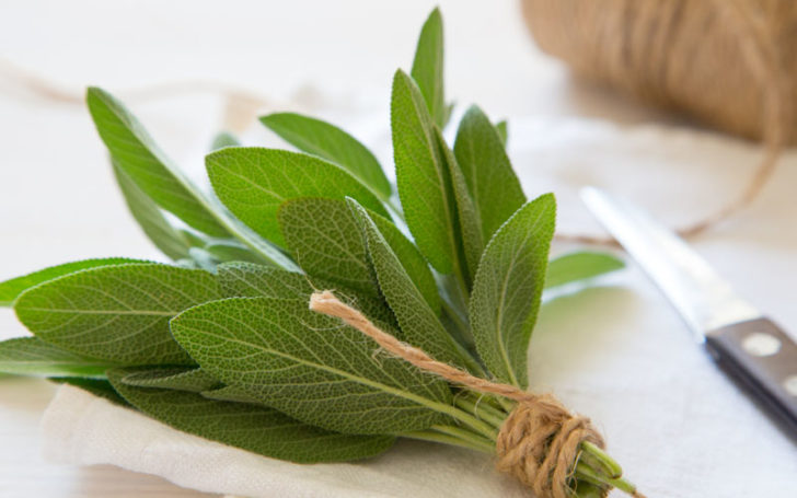 Rosemary Substitutes