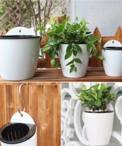 Self Watering Hanging Basket,Watering Hanging Basket,Self Watering,Hanging Basket