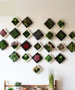 Succulent Wall Hanger,Succulent Wall,Wall Hanger,Hanger Frame,Succulent Wall Hanger Frame