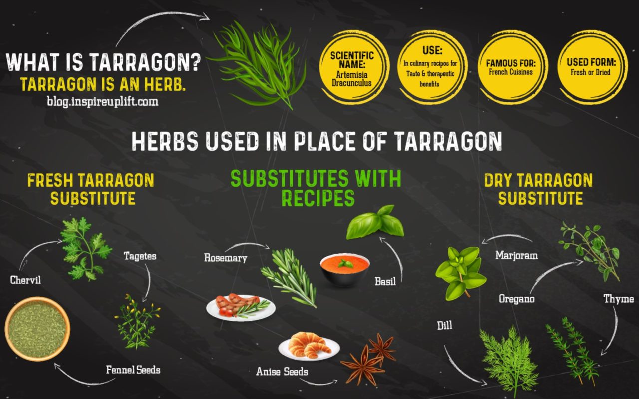 Tarragon Substitute