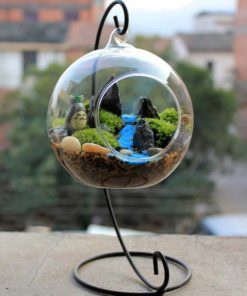 Teardrop Glass Terrarium,Teardrop Glass,Glass Terrarium