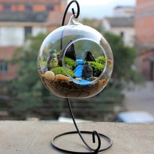 Teardrop Glass Terrarium,Teardrop Glass,Glass Terrarium