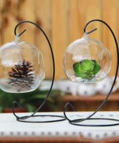 Teardrop Glass Terrarium,Teardrop Glass,Glass Terrarium