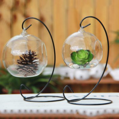 Teardrop Glass Terrarium,Teardrop Glass,Glass Terrarium