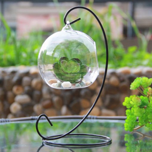 Teardrop Glass Terrarium,Teardrop Glass,Glass Terrarium