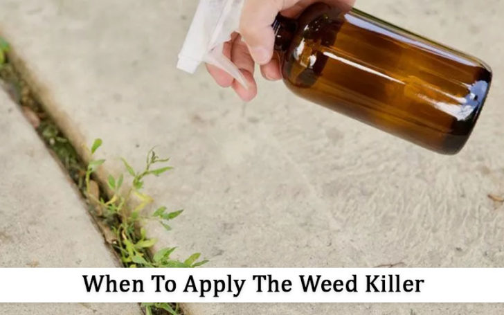 Homemade Weed Killer