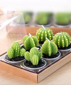 Cactus Candles,Mini Cactus Candles,Mini Cactus