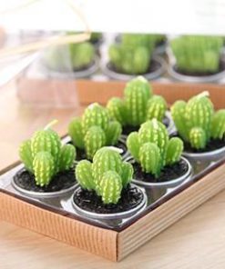 Cactus Candles,Mini Cactus Candles,Mini Cactus