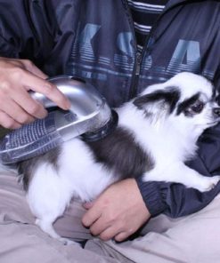 Hair Vacuum,Pet Hair,Portable Pet,Portable Pet Hair Vacuum