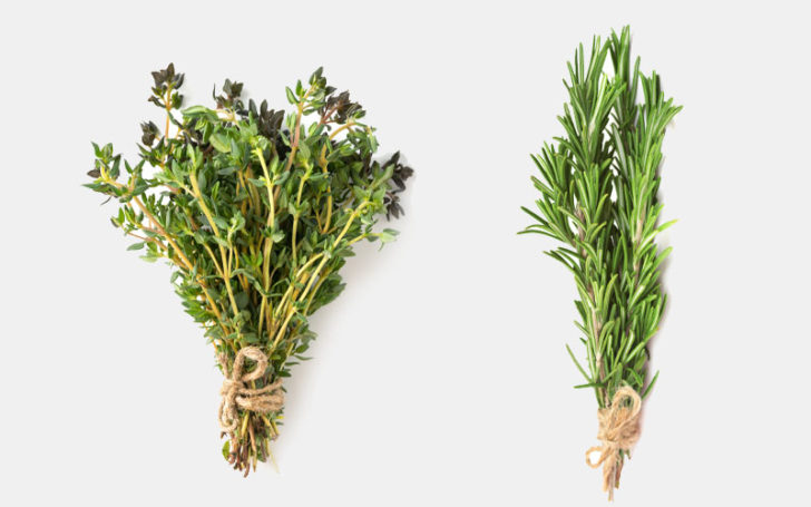 Rosemary Substitutes