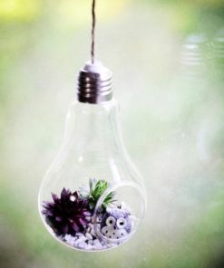 Modern Light Bulb,Bulb Planter,Light Bulb Planter,Light Bulb,Modern Light