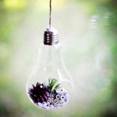 Modern Light Bulb,Bulb Planter,Light Bulb Planter,Light Bulb,Modern Light