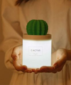 Cactus Humidifier,Humidifier Lamp,Cactus Humidifier Lamp