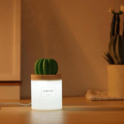 Cactus Humidifier,Humidifier Lamp,Cactus Humidifier Lamp