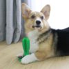 Dog Toothbrush Toy,Toothbrush Toy,Dog Toothbrush