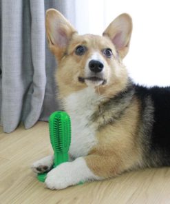 Dog Toothbrush Toy,Toothbrush Toy,Dog Toothbrush