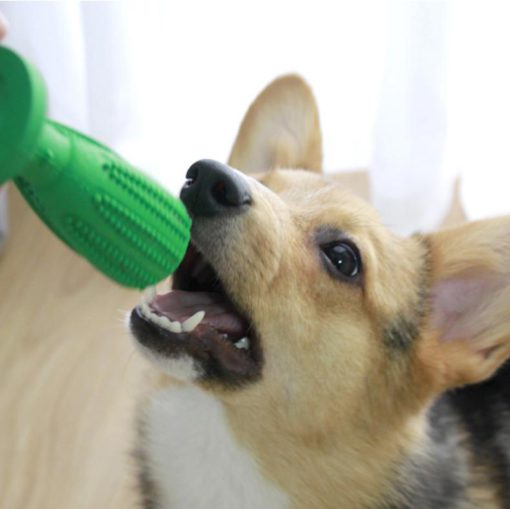 Dog Toothbrush Toy,Toothbrush Toy,Dog Toothbrush