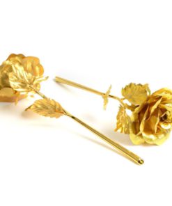 Everlasting Gold,Gold Rose,Everlasting Gold Rose