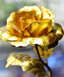 Everlasting Gold,Gold Rose,Everlasting Gold Rose