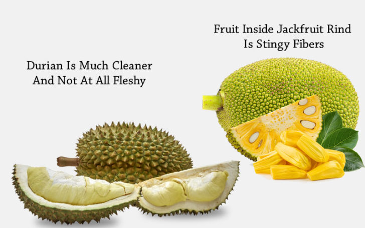 Jackfruit Vs Durian