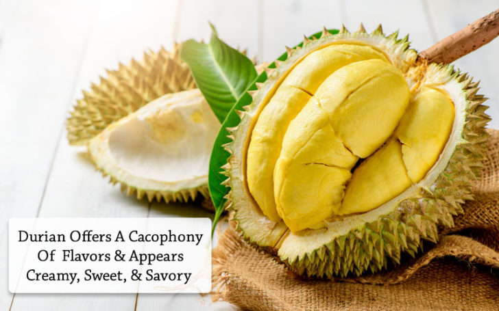 Jackfruit Vs Durian