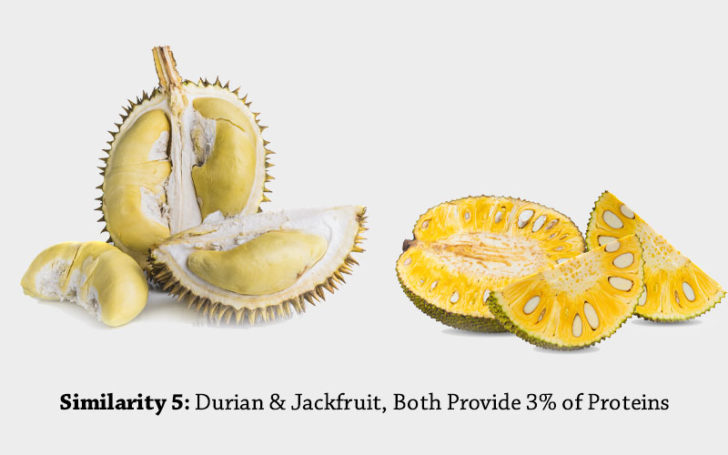 Jackfruit Vs Durian